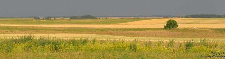 Le Site Natura De La Champeigne Tourangelle La Zps Natura